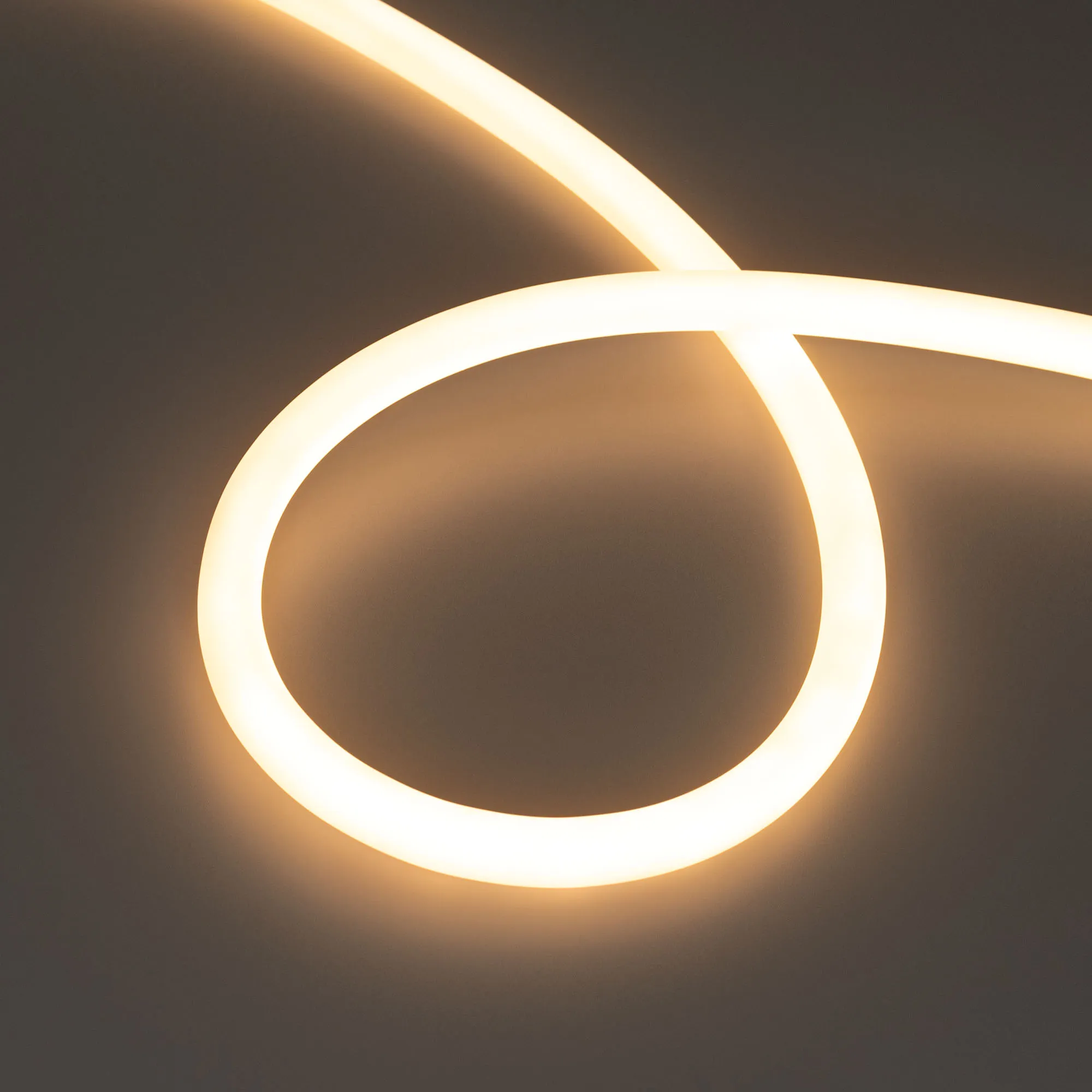 Лента светодиодная герметичная MOONLIGHT-TOP-M560-D13mm 24V Warm2700 360deg (8.6 W/m, IP65, 5m, wire x1) (Arlight, Вывод прямой, 3 года)