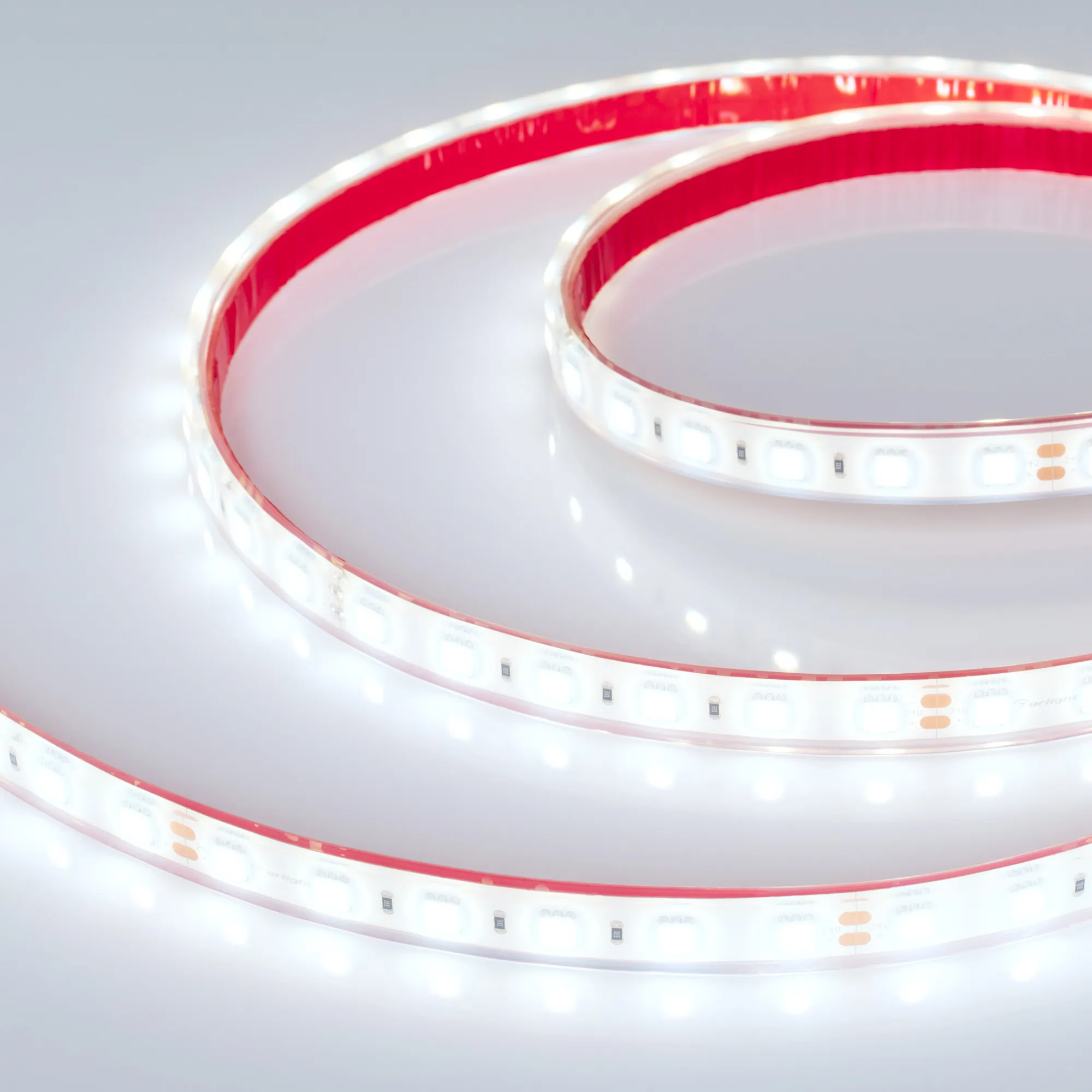 Лента светодиодная герметичная RTW-PFS-B60-13mm 24V Cool 10K (14.4 W/m, IP68, 5060, 5m) (Arlight, 14.4 Вт/м, IP68) - изображение товара