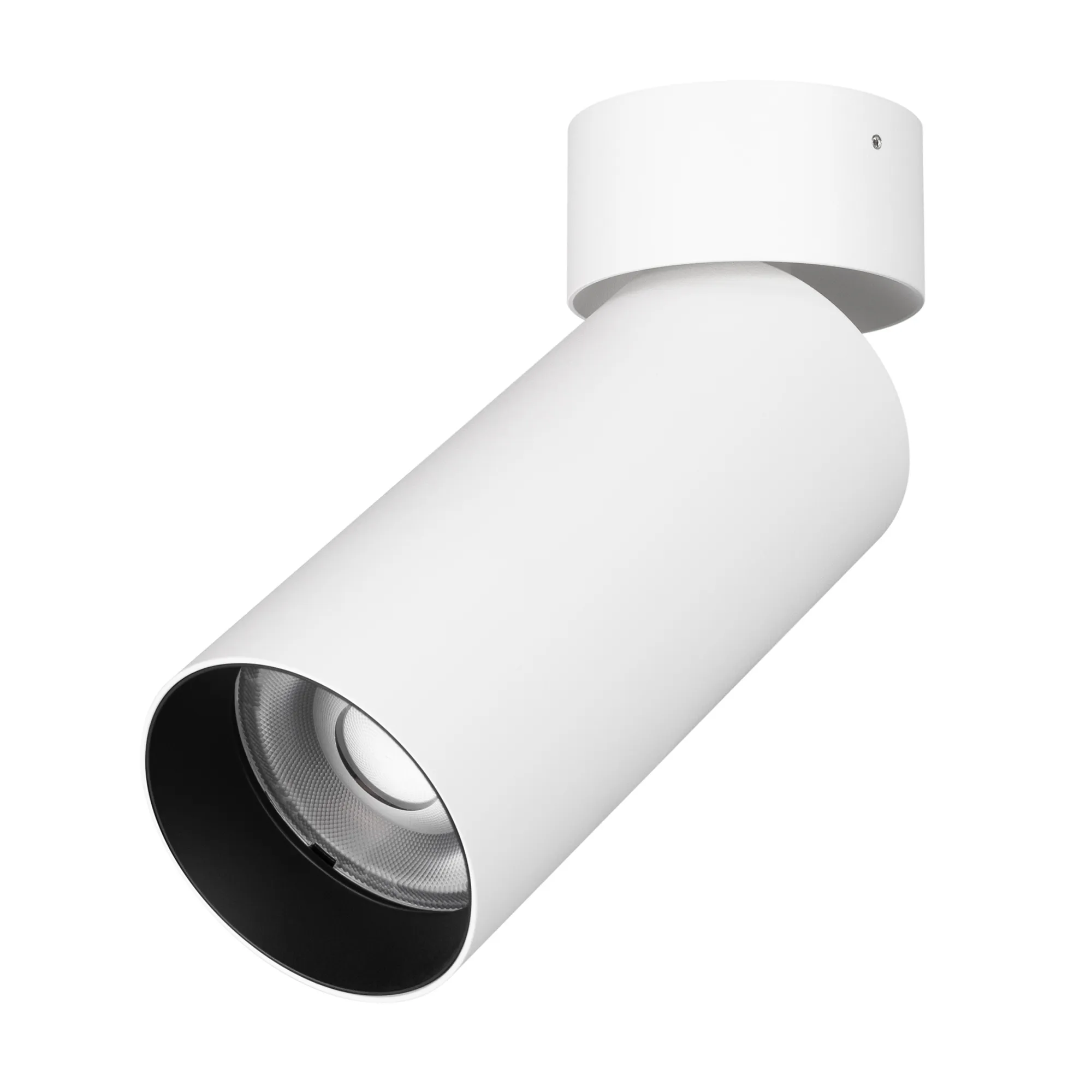 Светильник SP-GABI-SURFACE-FLAP-R60-12W Day4000 (WH, 60 deg, 230V) (Arlight, IP40 Металл, 5 лет) - изображение товара